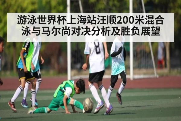 游泳世界杯上海站汪顺200米混合泳与马尔尚对决分析及胜负展望